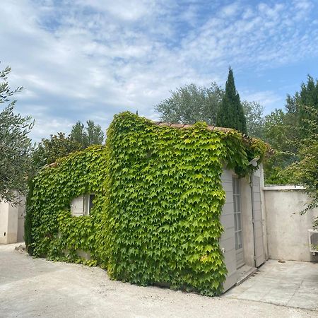 Le Mas Du Chemin : Mas Typique Des Alpilles Paradou Exteriör bild
